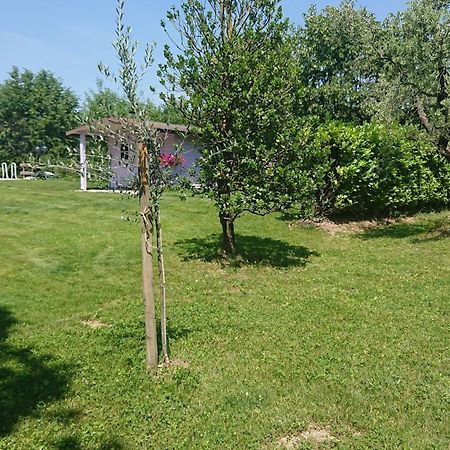 Il Carpino Bianco Bilocale Leilighet Puegnago Rom bilde